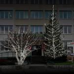Oświetlone drzewa i budynek - komponenty elektryczne i oświetlenie Polamp.