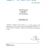 Logo Polamp - komponenty elektryczne i oświetlenie Polamp