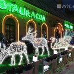 Trzy świecące renifery - komponenty elektryczne i oświetlenie Polamp