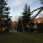 Drzewa, wózek podnośnikowy, ciężarówka - komponenty elektryczne i oświetlenie Polamp.