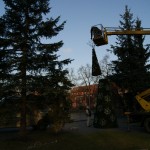 Drzewo z ozdobami, podnośnik, ciężarówka - komponenty elektryczne i oświetlenie Polamp.