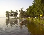 Zielona plaża nad jeziorem. - komponenty elektryczne i oświetlenie Polamp