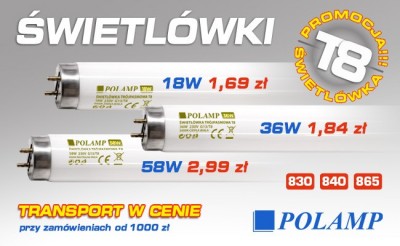Promocja !